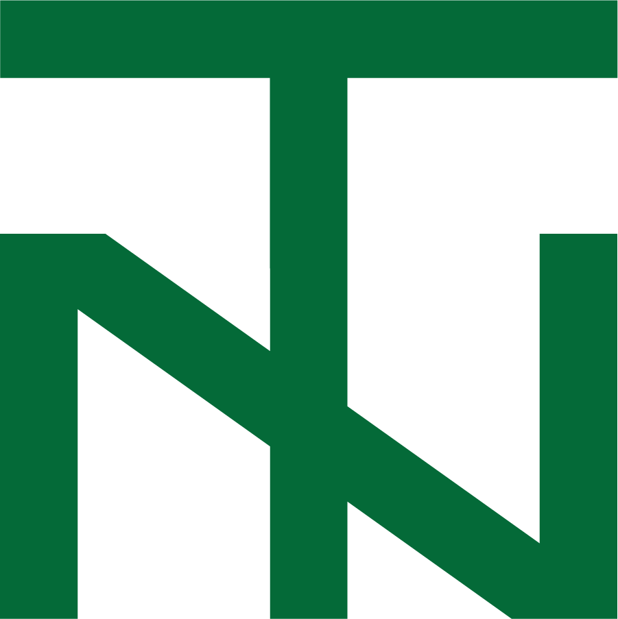 North Texas Mean Green 1967 Secondary Logo DIY iron on transfer (heat transfer)